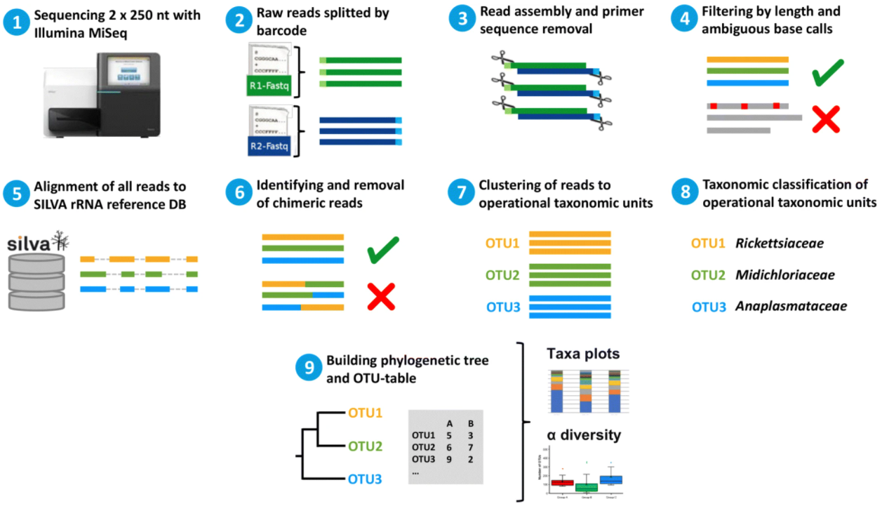 Résumé des étapes du séquençage par gène marqueur, tiré de Regier et al. (2019).