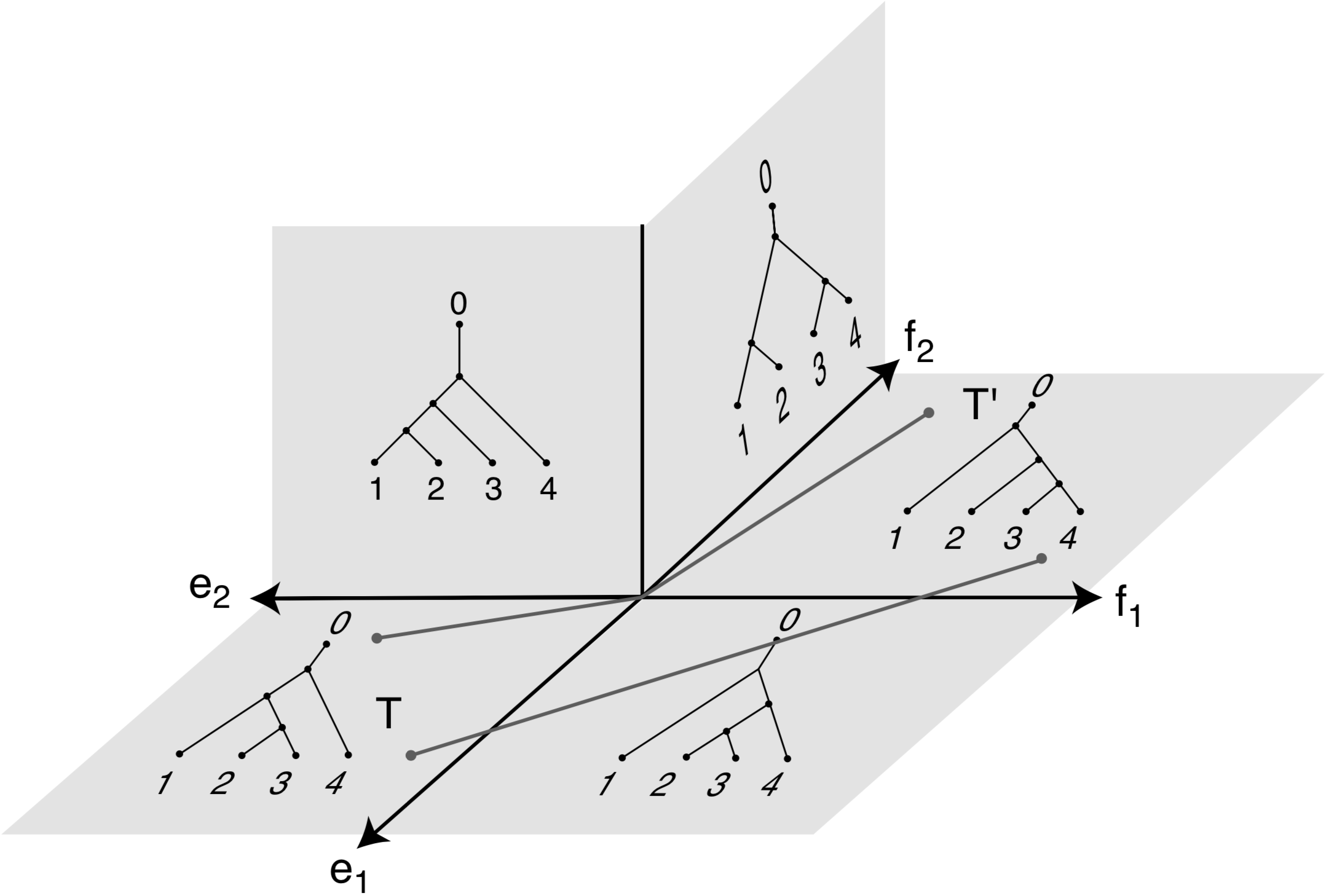 Des chemins traversant plusieurs orthants dans \(\mathscr{T}_4\), tiré de Billera et al. (2001).