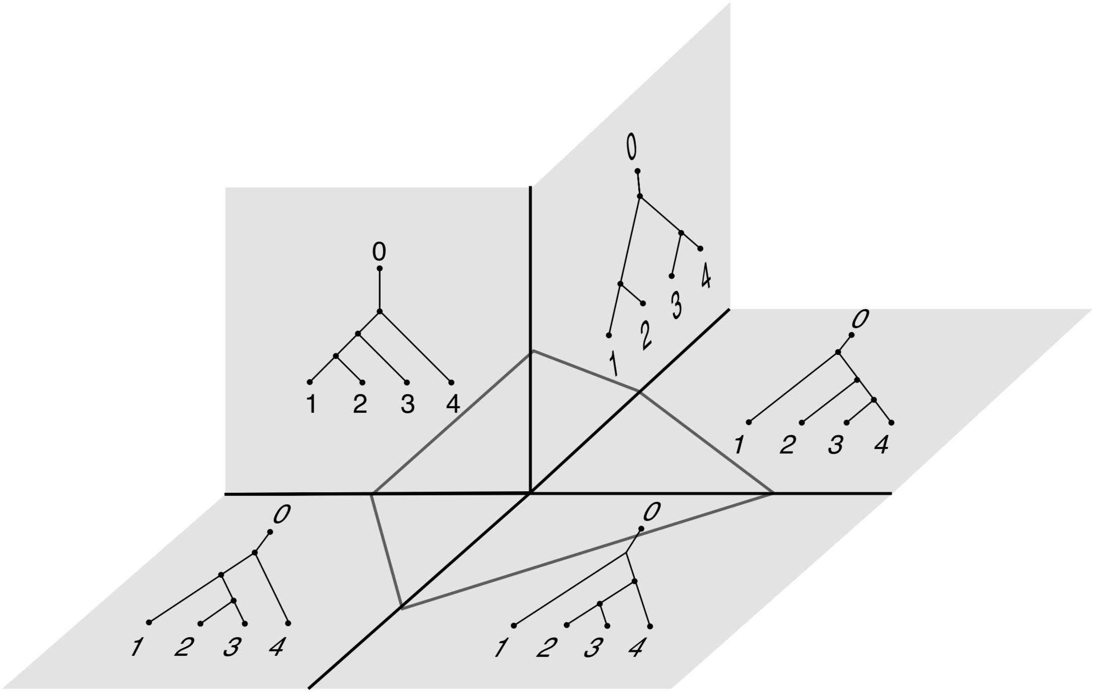 Une partie de \(\mathscr{T}_4\), où cinq orthants se rejoignent, tiré de Billera et al. (2001).