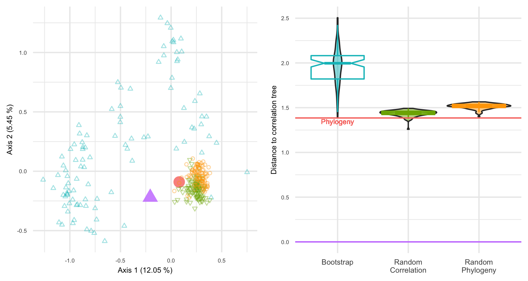 Distances BHV au sein de la forêt d’arbres pour le jeu de données Chlamydiae.